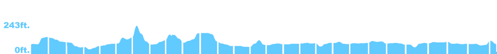 Marathon Elevation Map